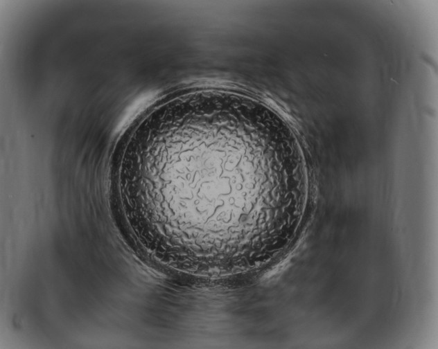 X0000091490199200708231429