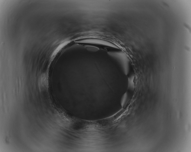 X0000091490200200708231429