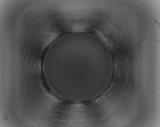 X0000091490202200708231429