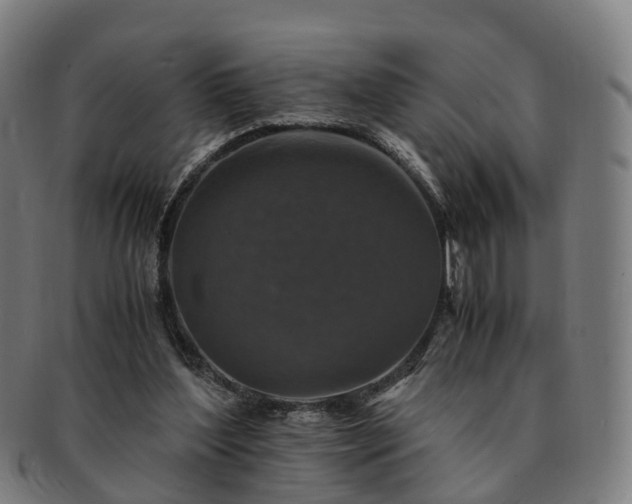 X0000091490204200708231429