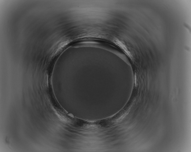 X0000091490205200708231429