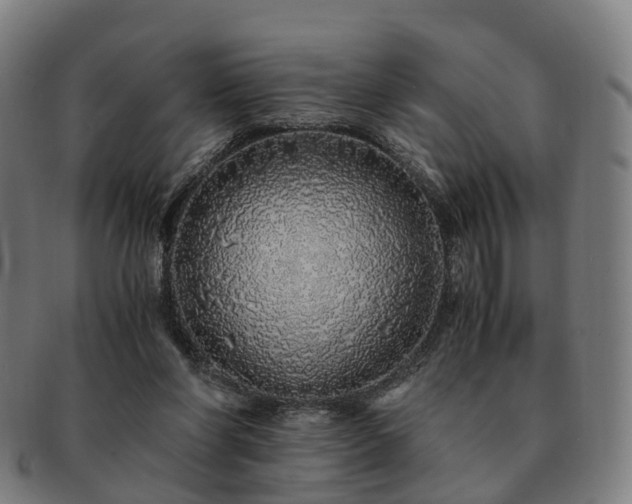 X0000091490206200708231429