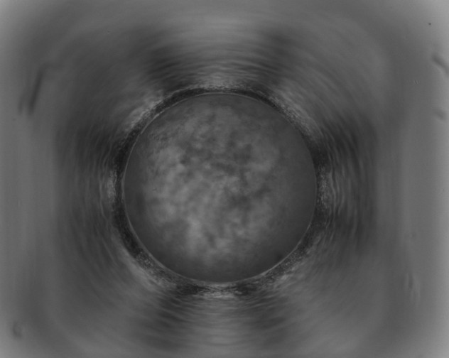 X0000091490208200708231429