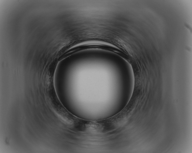 X0000091490215200708231429