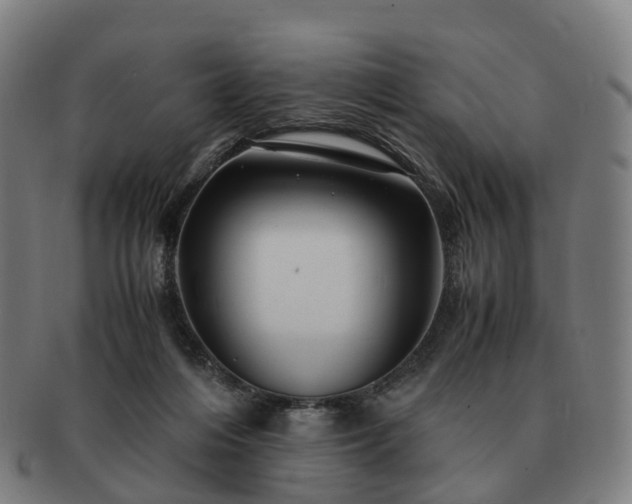 X0000091490216200708231429