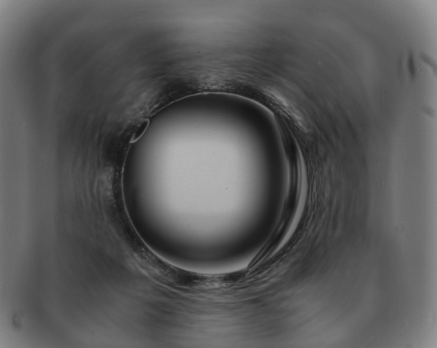 X0000091490217200708231429