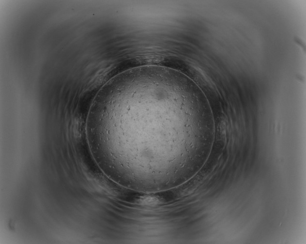 X0000091490218200708231429