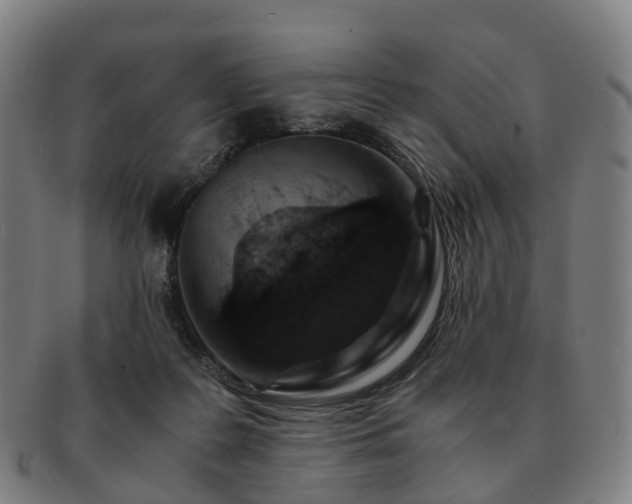 X0000091490219200708231429