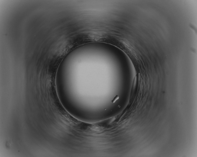 X0000091490221200708231429