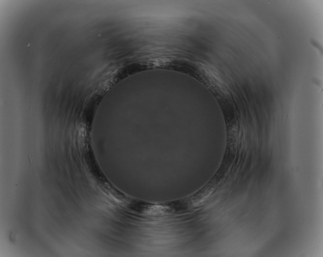 X0000091490222200708231429