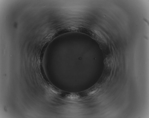 X0000091490223200708231429