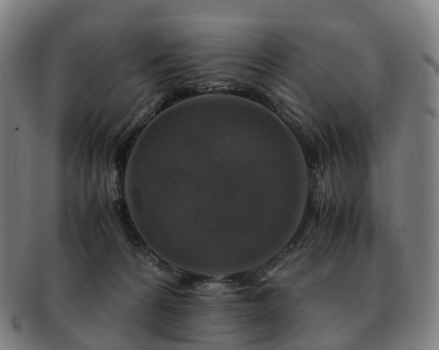 X0000091490224200708231429