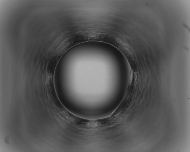 X0000091490225200708231429