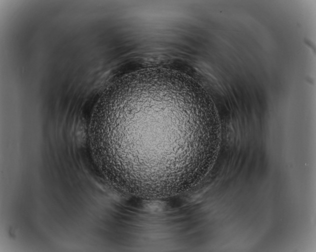 X0000091490226200708231429