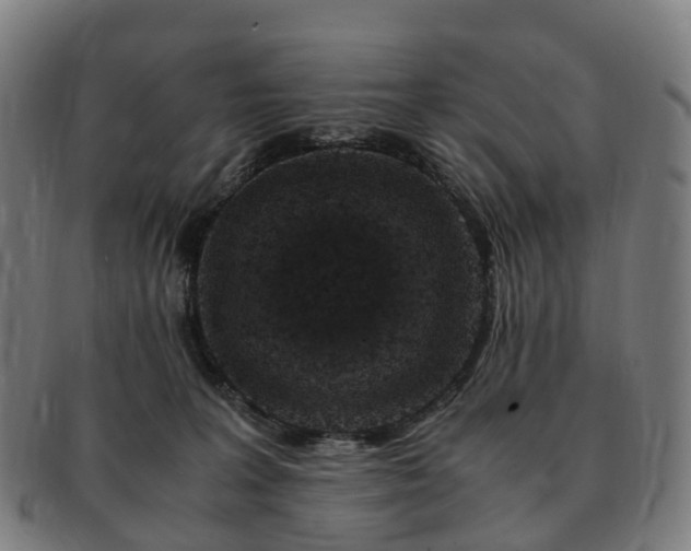 X0000091490227200708231429