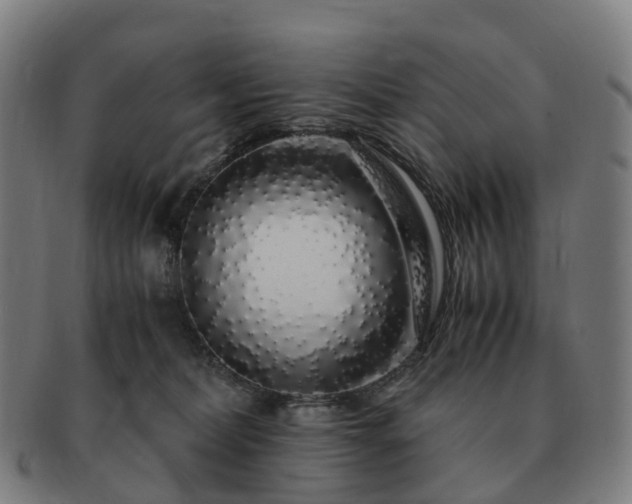 X0000091490228200708231429