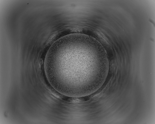 X0000091490229200708231429