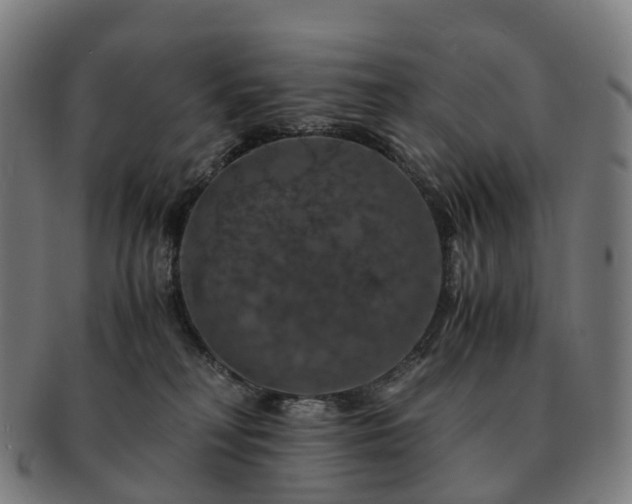 X0000091490230200708231429