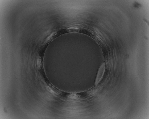 X0000091490231200708231429