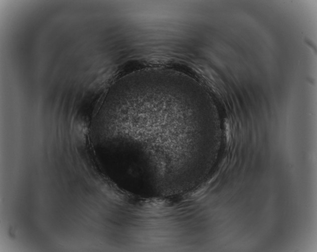 X0000091490235200708231429