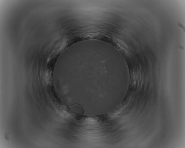 X0000091490236200708231429