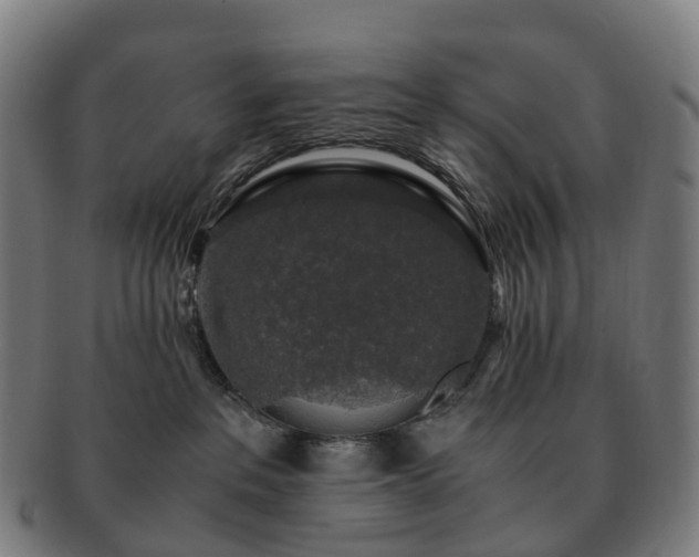 X0000091490237200708231429