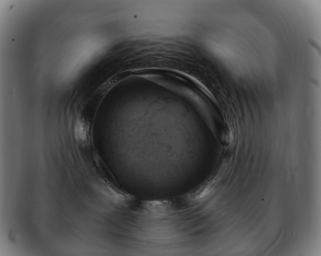 X0000091490239200708231429