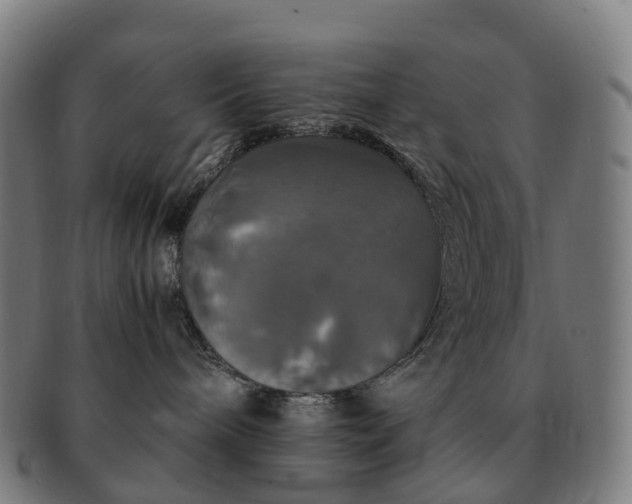 X0000091490240200708231429