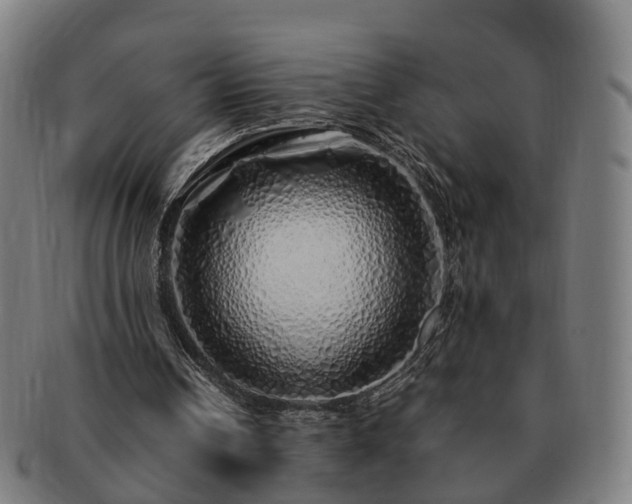 X0000091490242200708231428