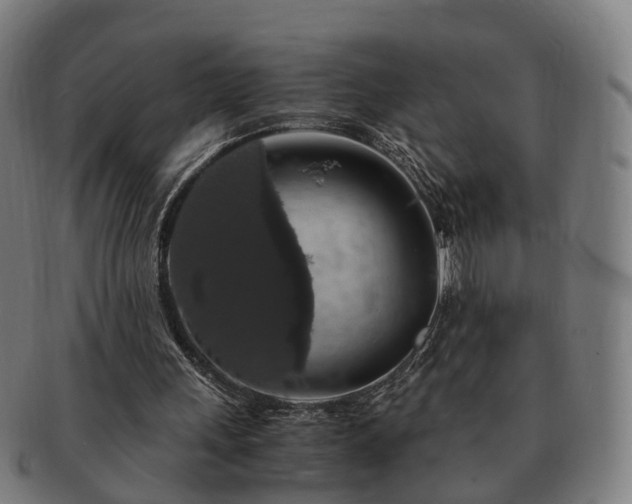 X0000091490243200708231428