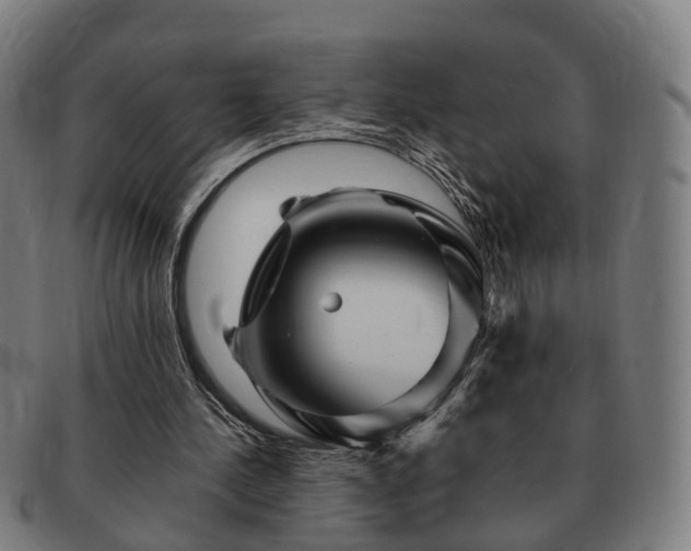 X0000091490244200708231428