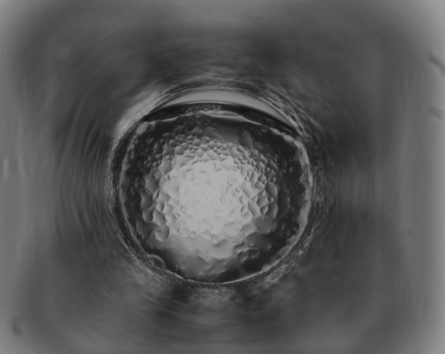 X0000091490245200708231428