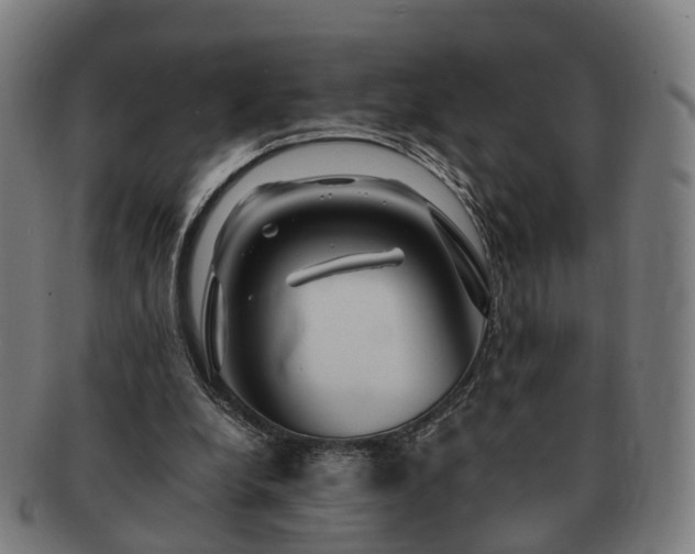 X0000091490248200708231428