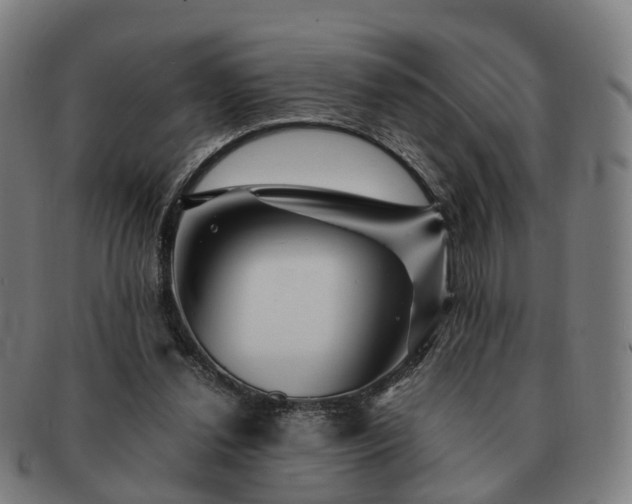 X0000091490252200708231428