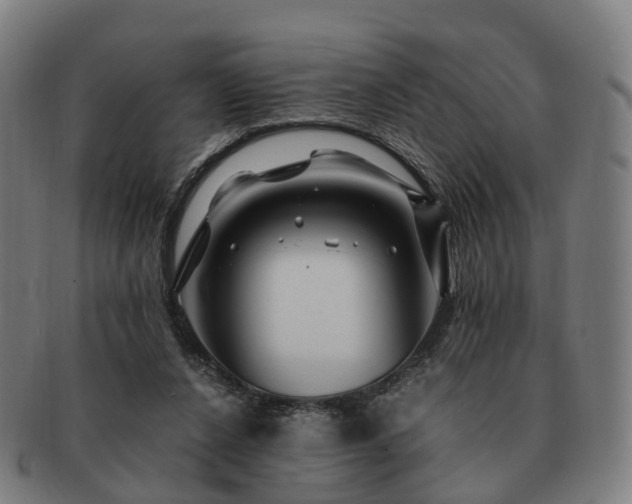 X0000091490256200708231428