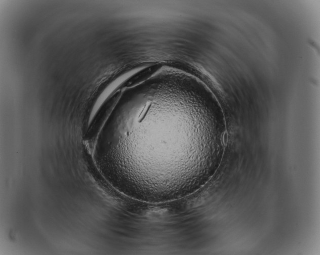 X0000091490257200708231428