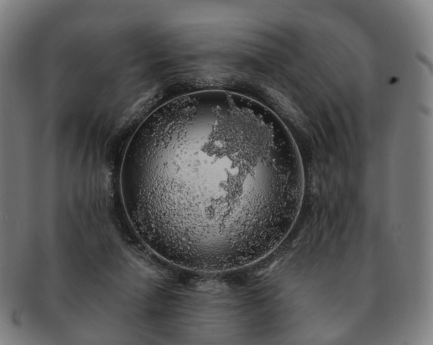 X0000091490258200708231428