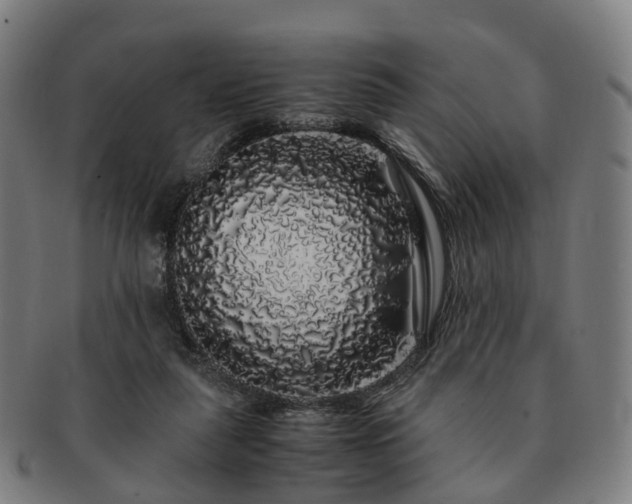 X0000091490259200708231428