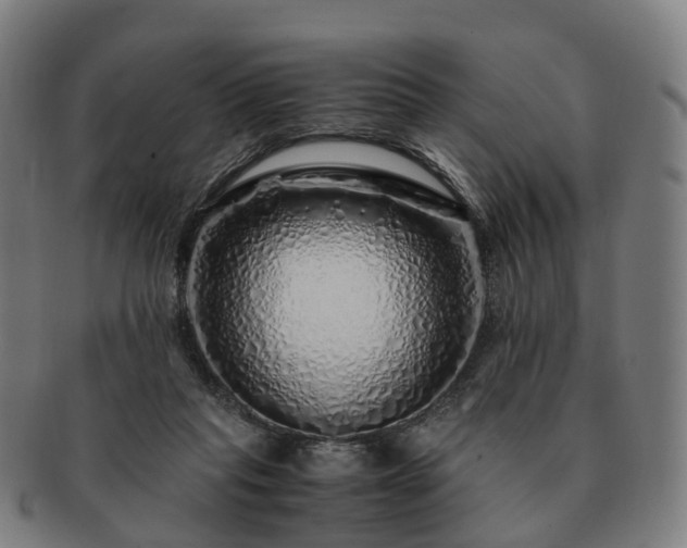 X0000091490261200708231428