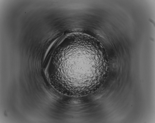 X0000091490263200708231428