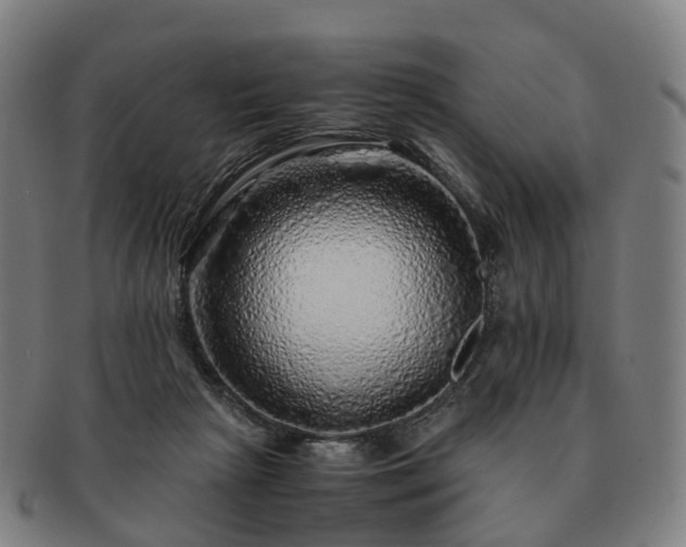 X0000091490265200708231428