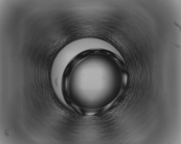 X0000091490268200708231428