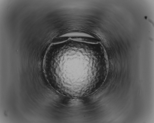 X0000091490269200708231428