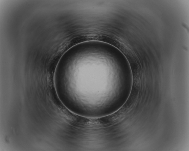 X0000091490270200708231428