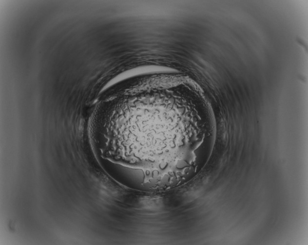 X0000091490271200708231428