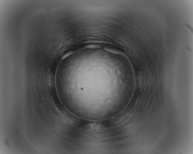 X0000091490272200708231428