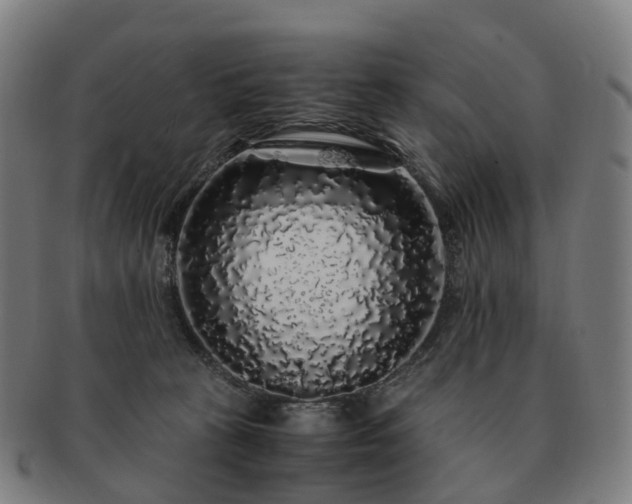 X0000091490273200708231428