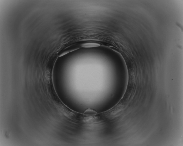 X0000091490274200708231428