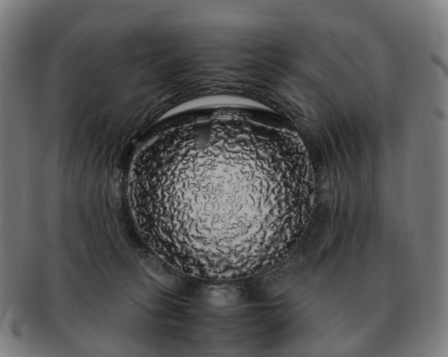 X0000091490275200708231428