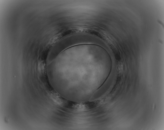 X0000091490276200708231428